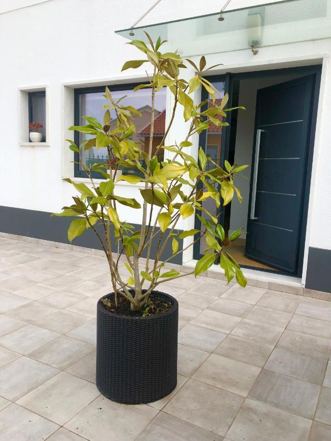 Casa Patio Country House Enxara do Bispo Экстерьер фото
