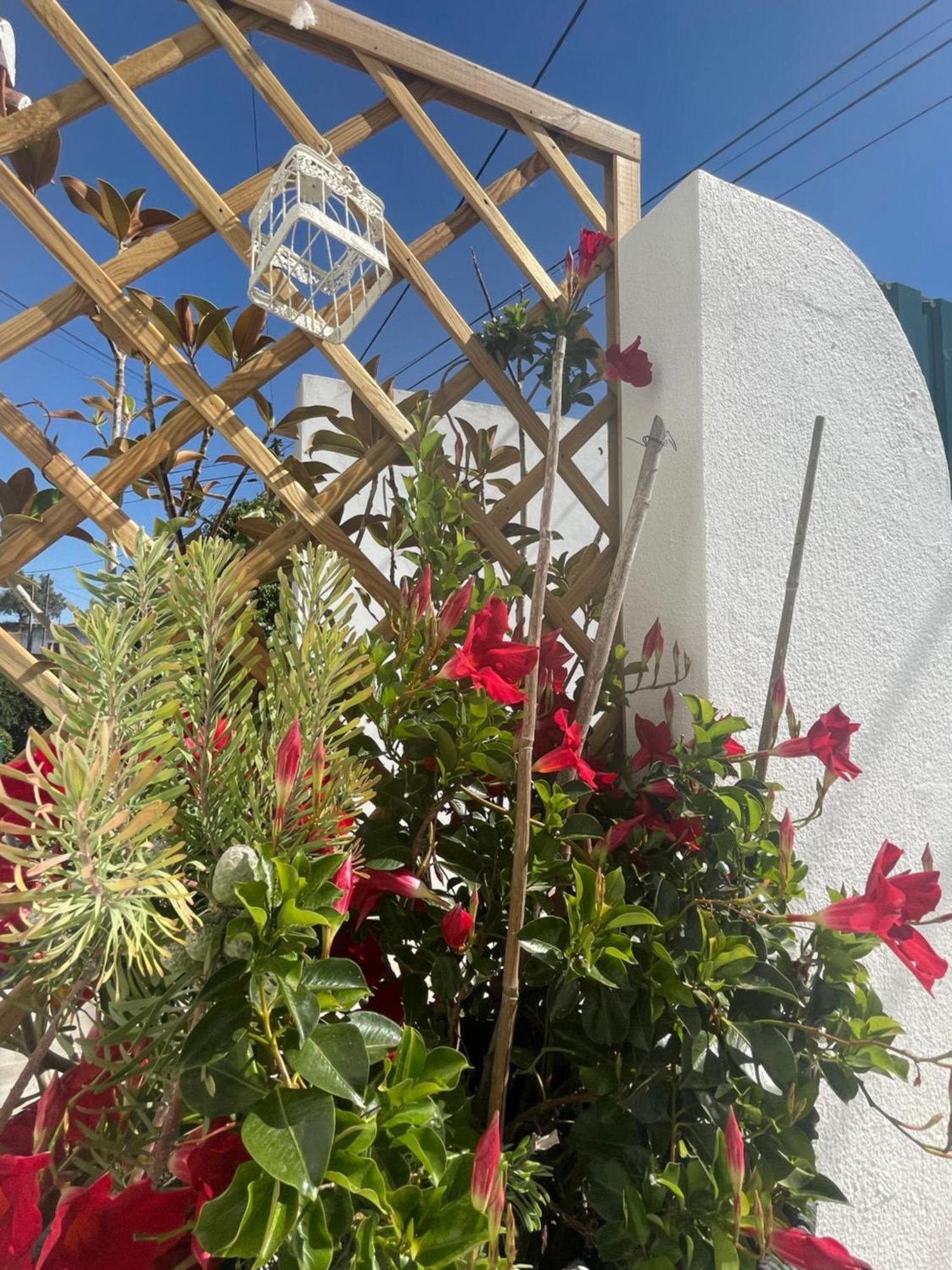 Casa Patio Country House Enxara do Bispo Экстерьер фото